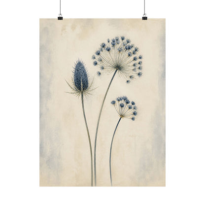 Blue Seedheads – Late Summer Botanical Poster
