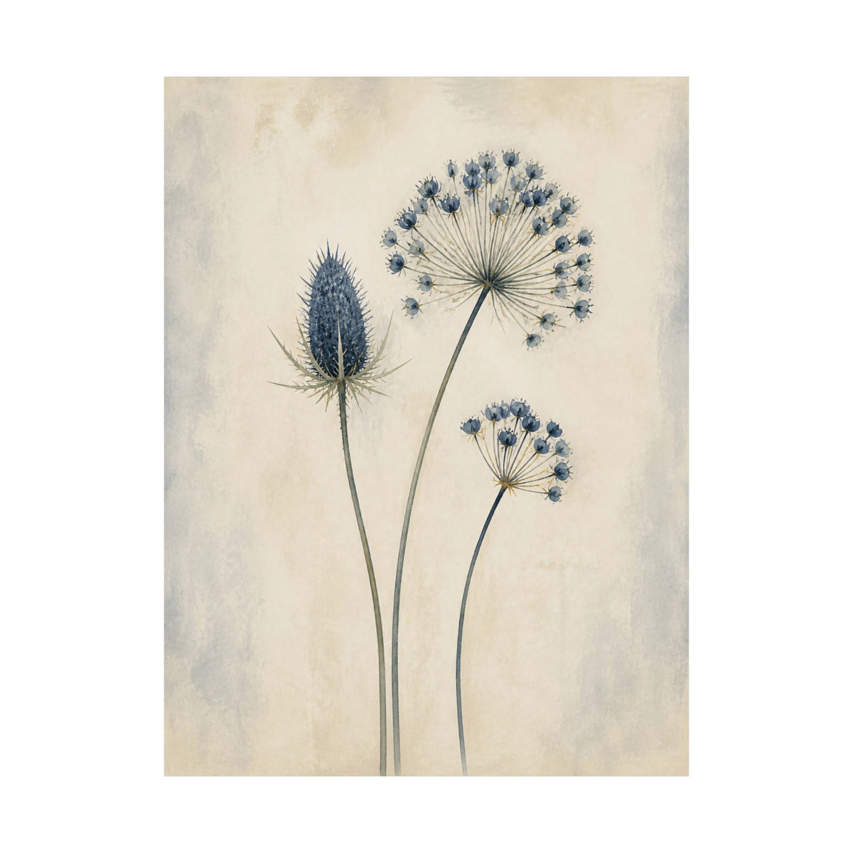 Blue Seedheads – Late Summer Botanical Poster